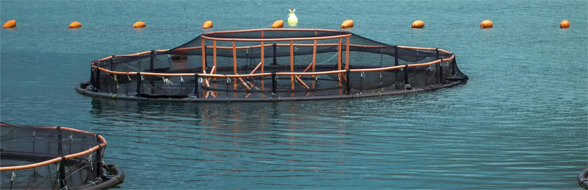 Splash Aerator