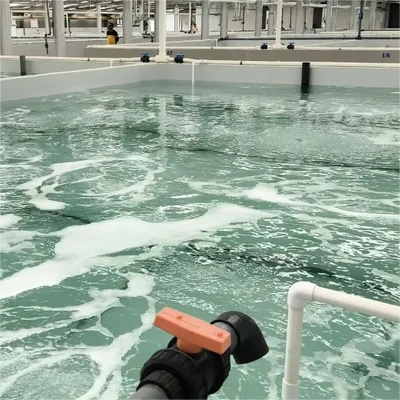 Aquaculture Equipment in Shrimp